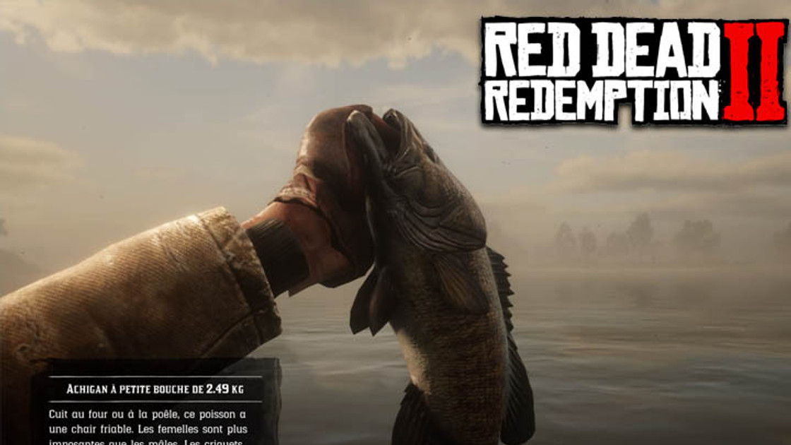 Red Dead Redemption 2 : Achigan à petite bouche, où pêcher le poisson légendaire ?