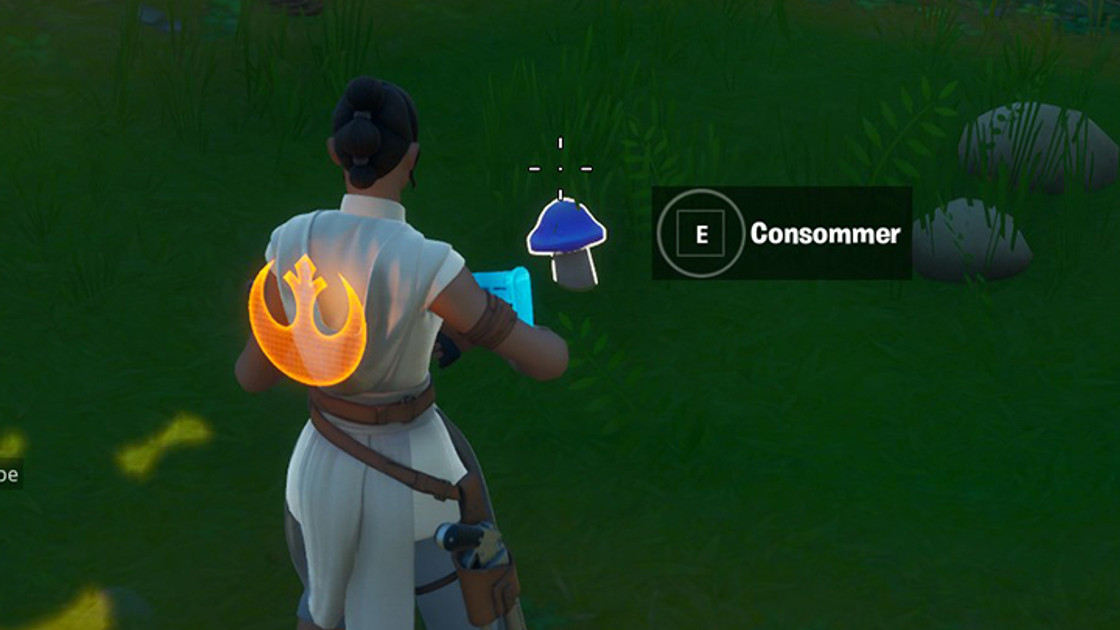 Fortnite : Consommer de la nourriture ramassée sur le terrain à Weeping Woods ou au Verger, défi semaine 7 saison 2