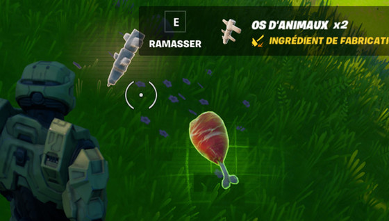 Où trouver des os d'animaux dans Fortnite ?