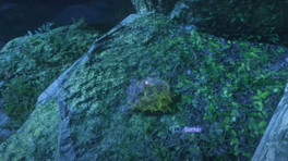 Où trouver la mousse meurtrie pour la quête Moment d'apprentissage dans Avatar Frontiers of Pandora ?