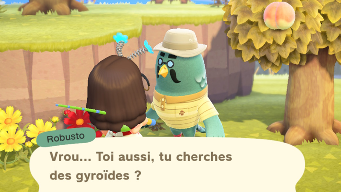 A quoi servent les giroïdes dans Animal Crossing ?