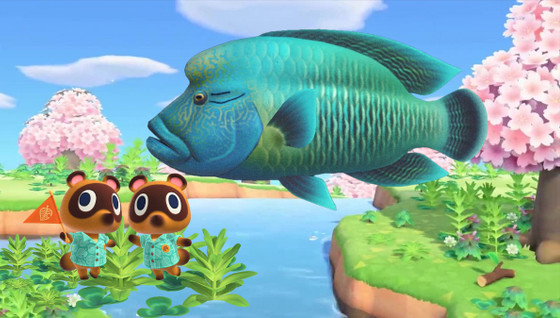 Liste complète des poissons dans Animal Crossing New Horizon
