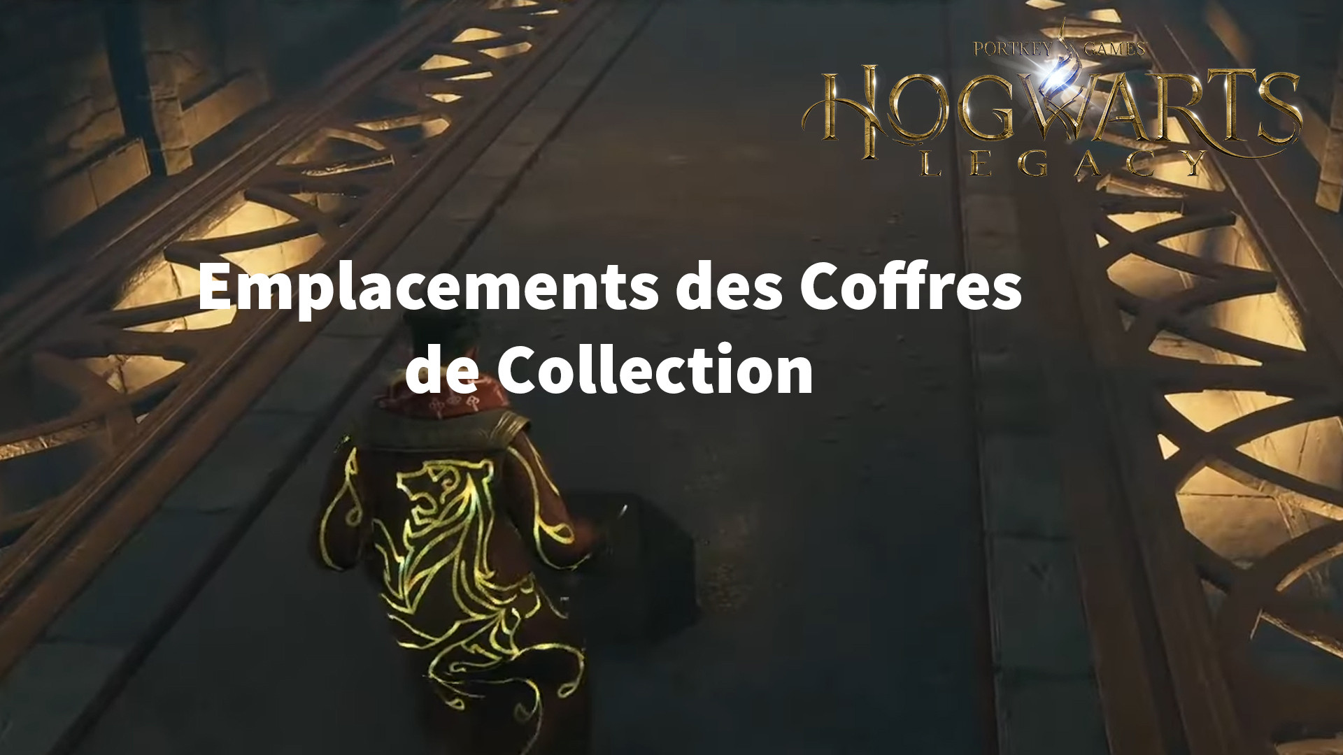 Où trouver les coffres de collection dans Hogwarts Legacy ?