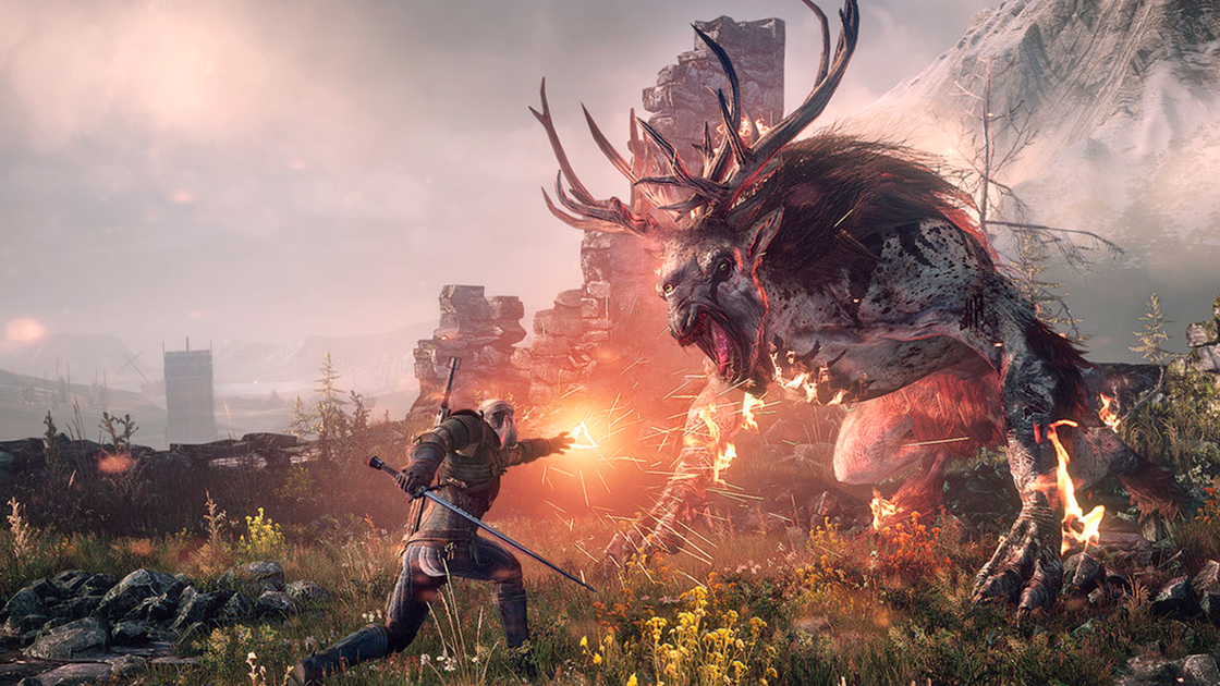 The Witcher 3 : Rubis Parfait, comment en obtenir ?