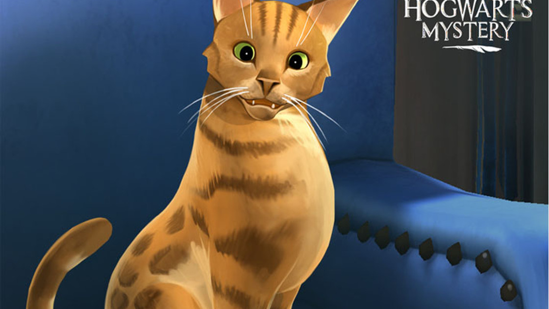 Harry Potter Hogwarts Mystery : Animaux de compagnie, patch 1.7.0