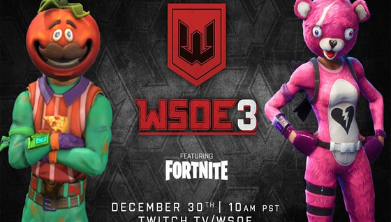 WSOE : Adz et Robi terminent 8 ème !