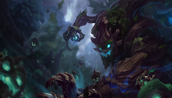 Comment jouer Maokai au Top ?