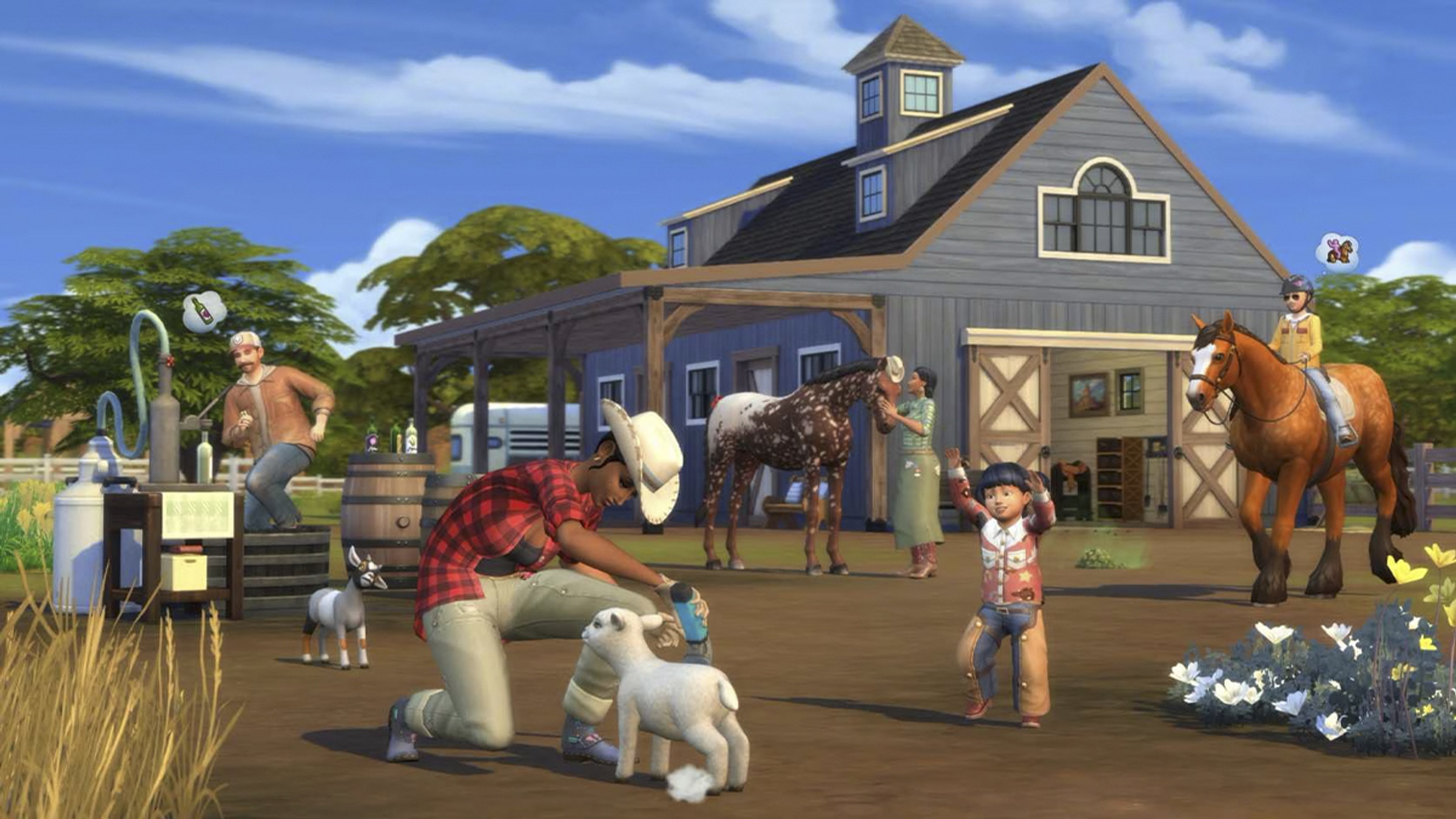 ranch-3