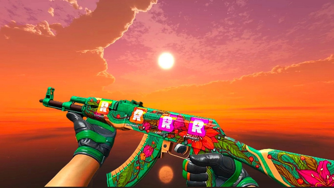 CSGO : Un skin d'AK 47 s'est vendu pour 160 000 dollars !