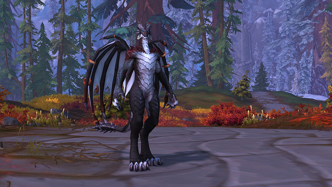 World of Warcraft Dragonflight : les "body" remplacent les genres dans WoW