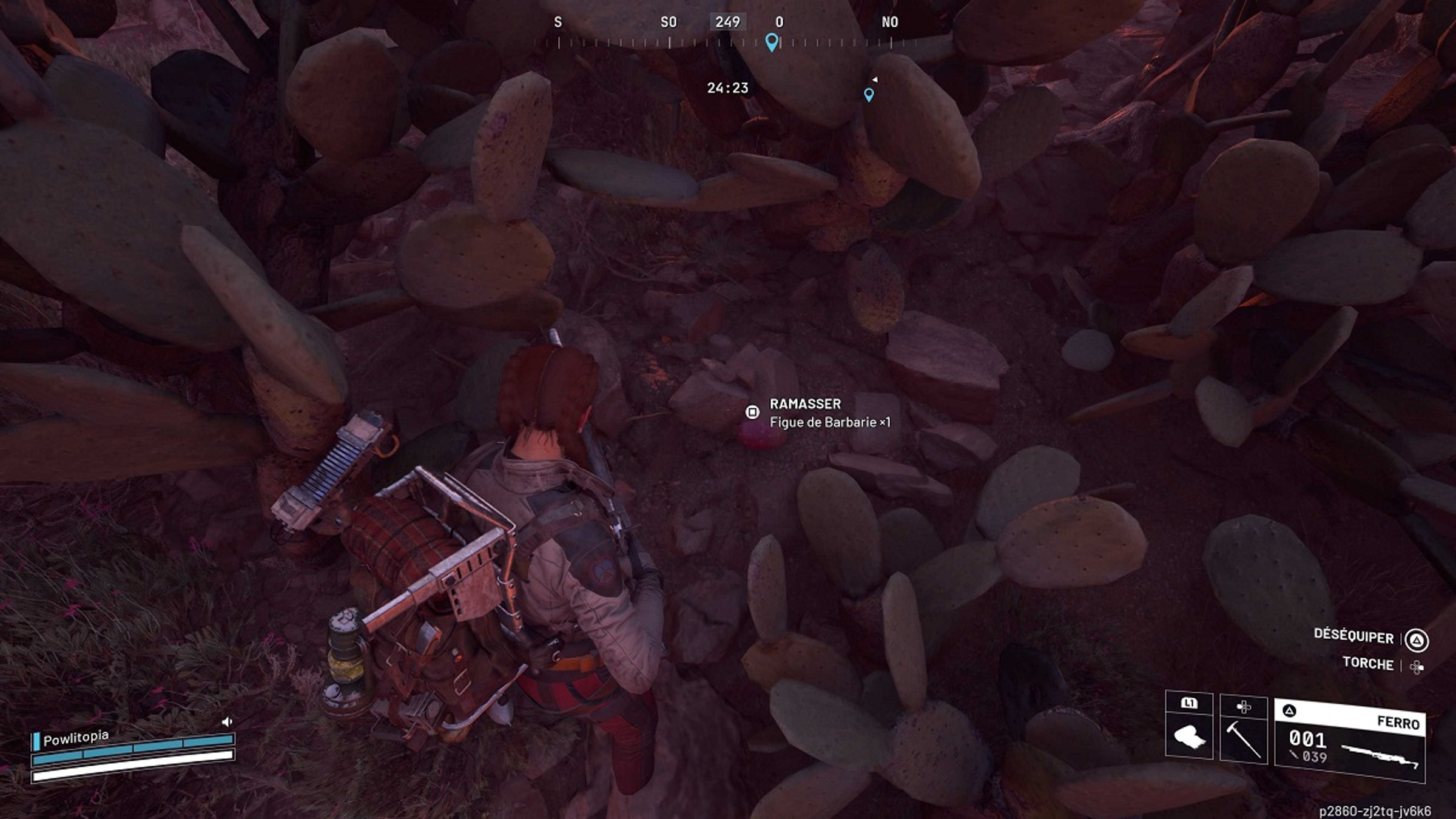 arc-raiders-figue-de-barbarie