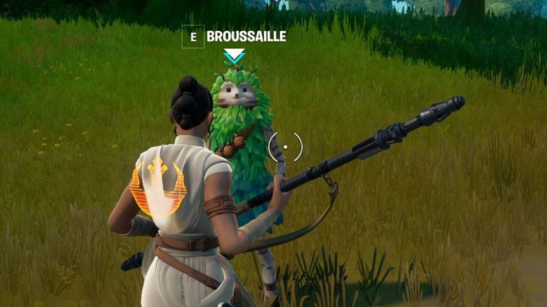 Où sont Sunny, Tagueur, Gentille fleur, Antisocial et Brouissaille dans Fortnite en saison 7 ?