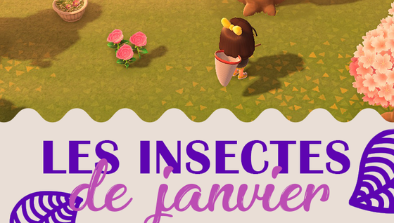 Les insectes à capturer en février