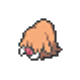 Les Pokémon de Couronneige