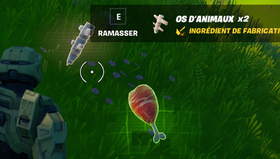 Comment ramasser des os d'animaux en saison 7 ?