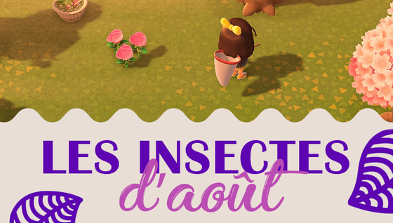 Les insectes à capturer en août