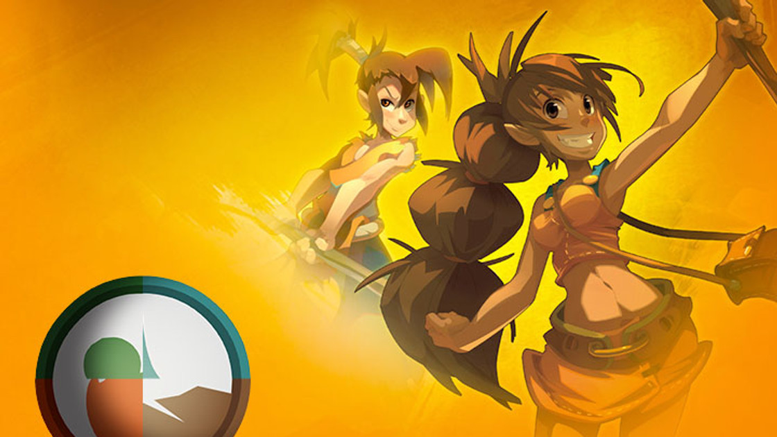 DOFUS : Guide et Stuff du Féca Multi-Élément