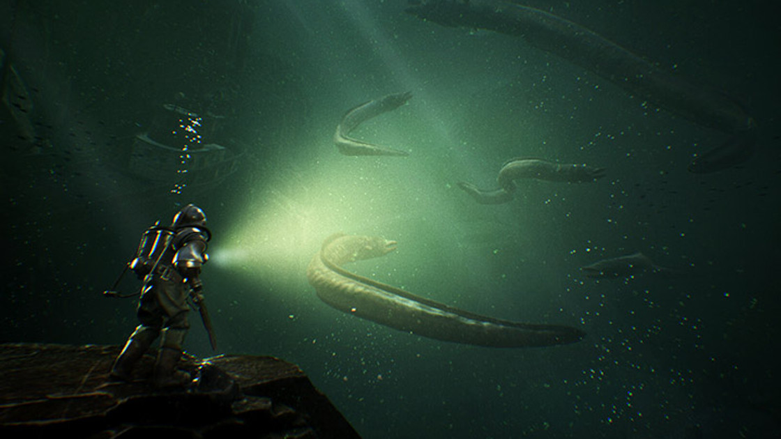 The Sinking City : Informations sur le jeu