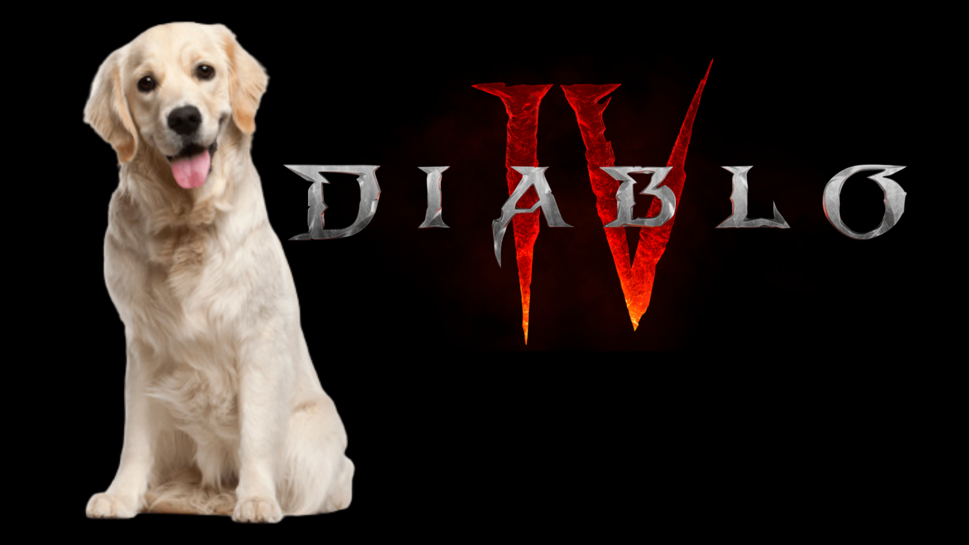 Diablo 4 : ne touchez surtout pas aux chiens !