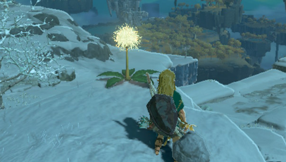 À quoi servent les pissenlits dans Zelda Tears of the Kingdom ?