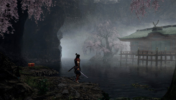 Test de Onimusha 2: Samurai's Destiny Remaster : Un classique à redécouvrir et une passerelle idéale vers la saga !