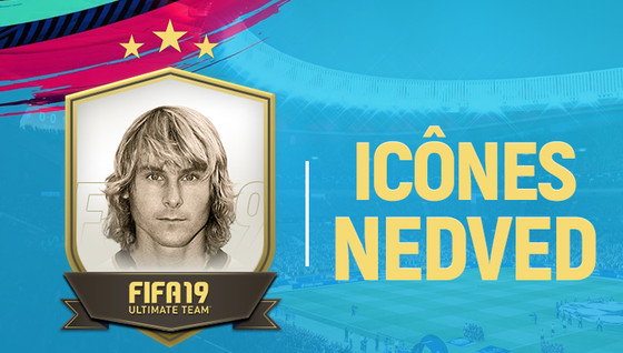 Solution DCE Pavel Nedved