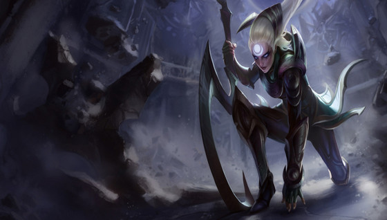 Comment jouer Diana Jungle ?