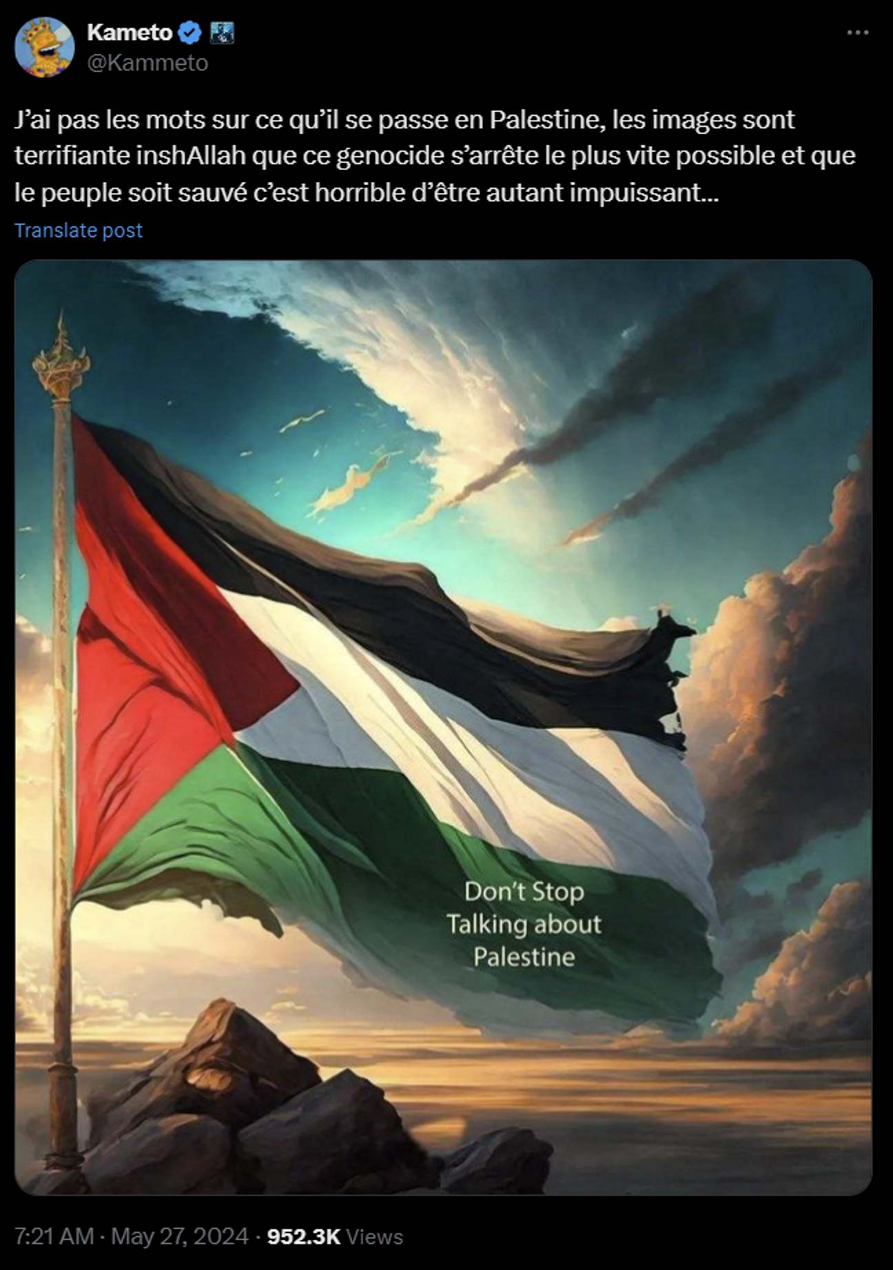 kameto-palestine