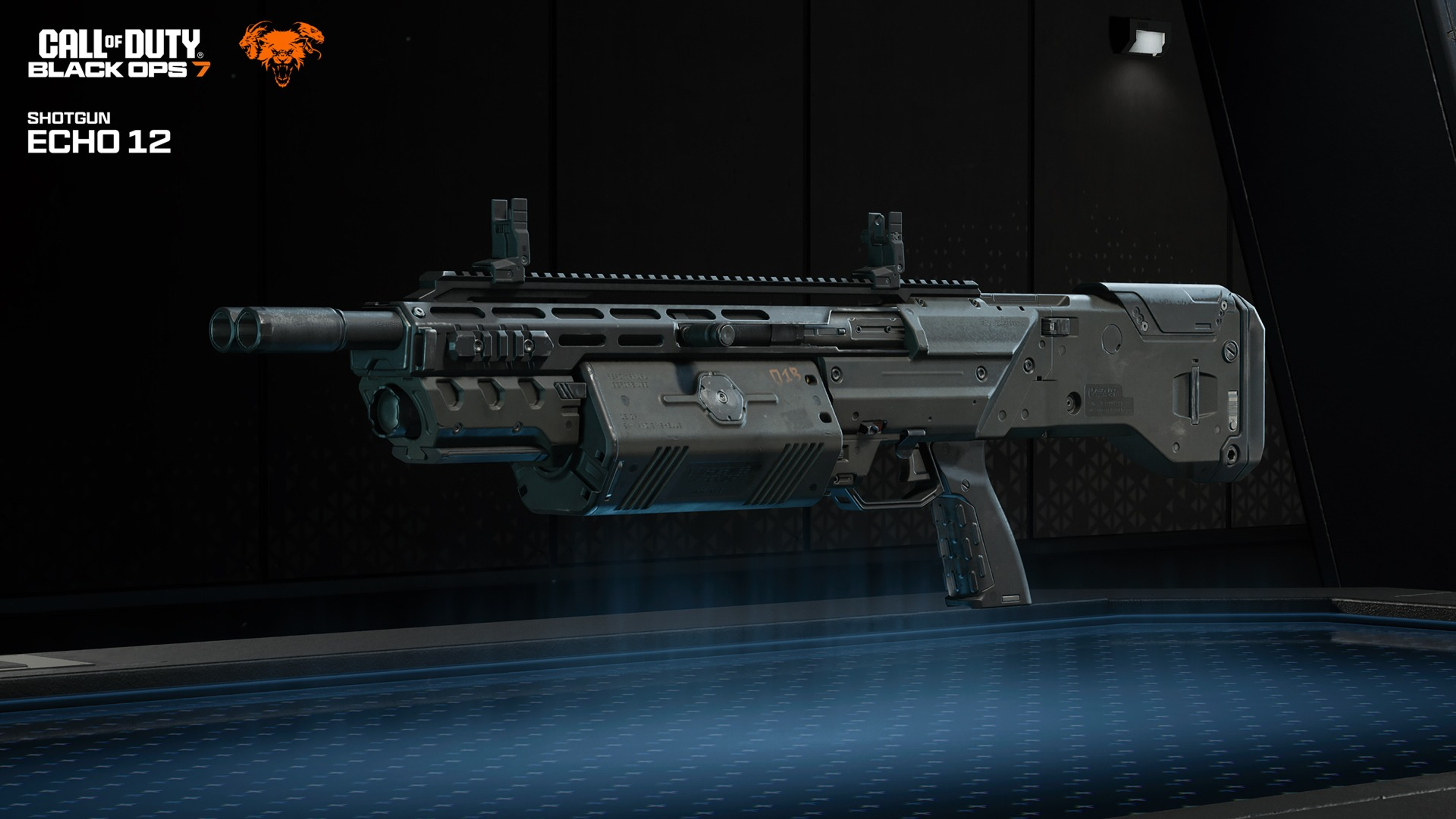 bo7-echo12