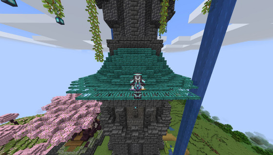 À quoi sert la malédiction de Disparation sur Minecraft ?