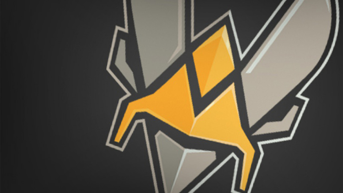 Fortnite : Team Vitality souhaite investir dans une équipe Esport