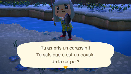 Comment pêcher dans Animal Crossing : New Horizons ?