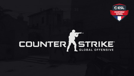 Heretics remporte les ECN CSGO