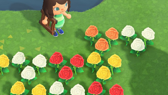 Créez des fleurs hybrides dans Animal Crossing : New Horizons !