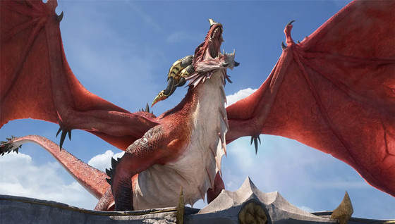 Dates et membres du projet Dragonflight de ZeratoR