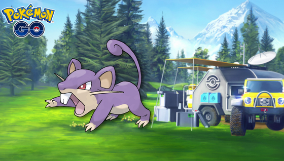 Rattata (shiny) dans les Heures de Pokémon Vedette de novembre sur Pokémon GO
