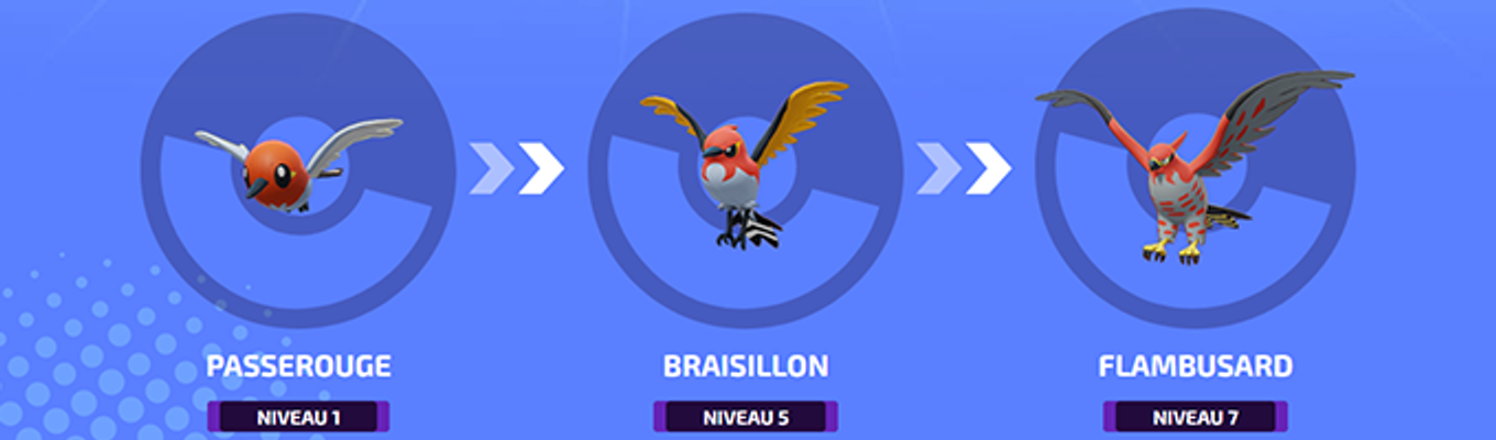 flambusard-pokemon-unite