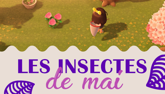 Les insectes à capturer en mai