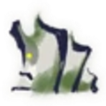 Basarios