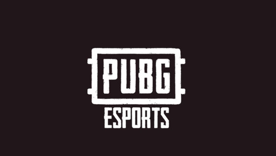 L'esport en 2020 sur PUBG