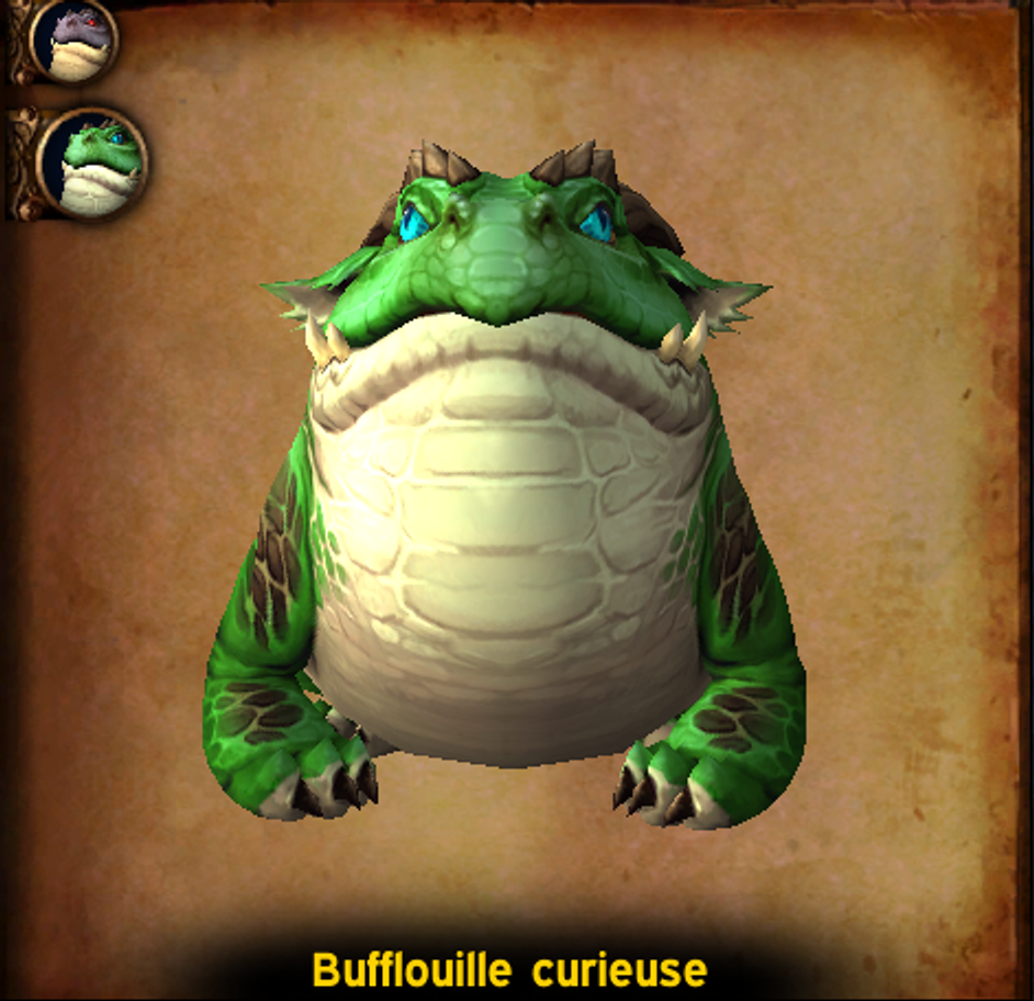 Bufflouille-Curieuse-Wow-Dragonflight