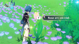 Rose arc en ciel Genshin Impact, comment en avoir ?
