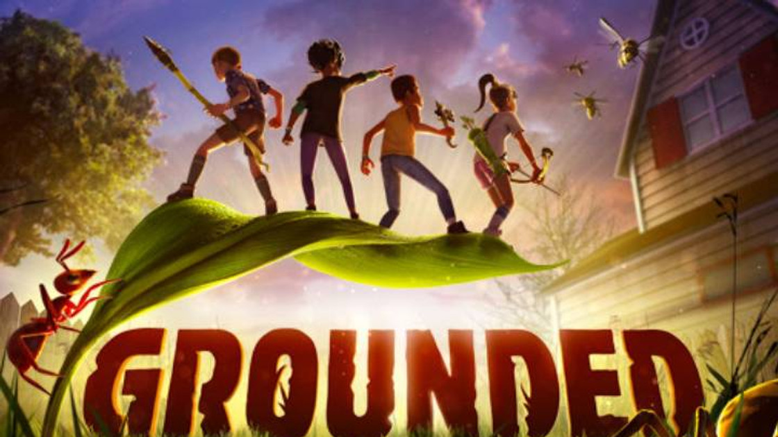 Comment jouer à Grounded sur Xbox et PC ?