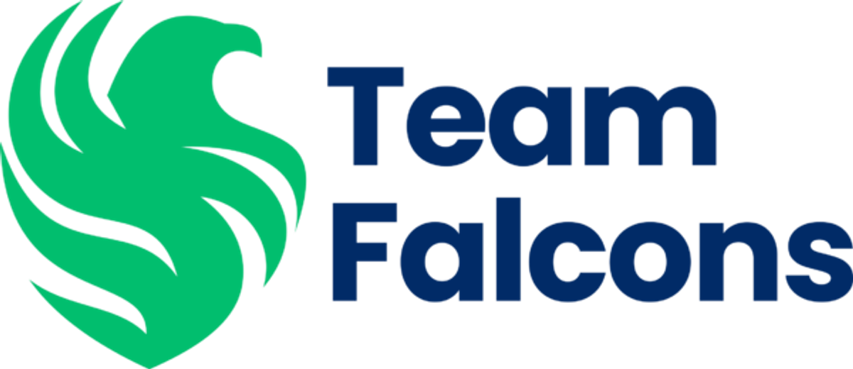 team-falcons-esports