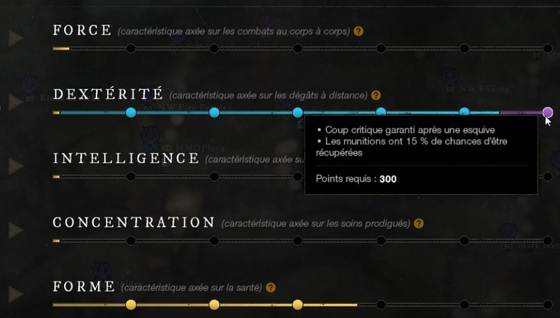 Comment bien choisir ses statistiques dans New World ?