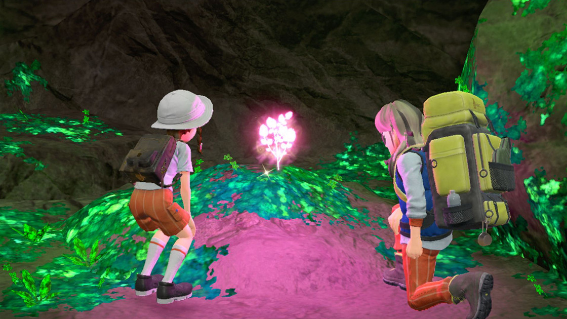 Carte interactive Pokémon Ecarlate et Violet, où la trouver ?