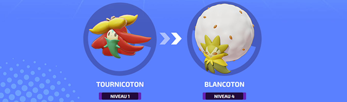 blancoton-pokemon-unite