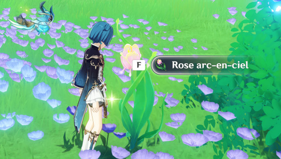 Rose arc en ciel Genshin Impact, comment en avoir ?