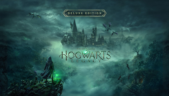 Quel est le bug qui affecte Hogwarts Legacy sur Steam ?