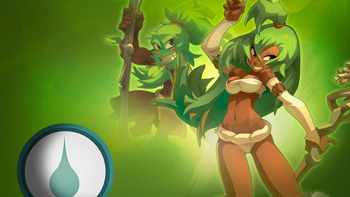 DOFUS : Guide et Stuff du Sadida Eau